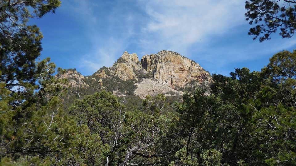 View of Emory Peak from Laguna Meadows