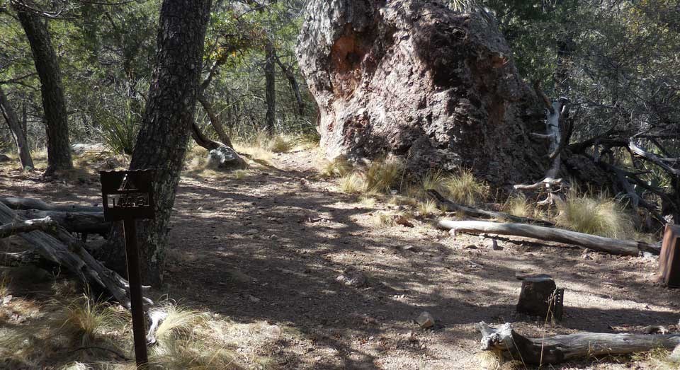 Laguna Meadow 3 Campsite