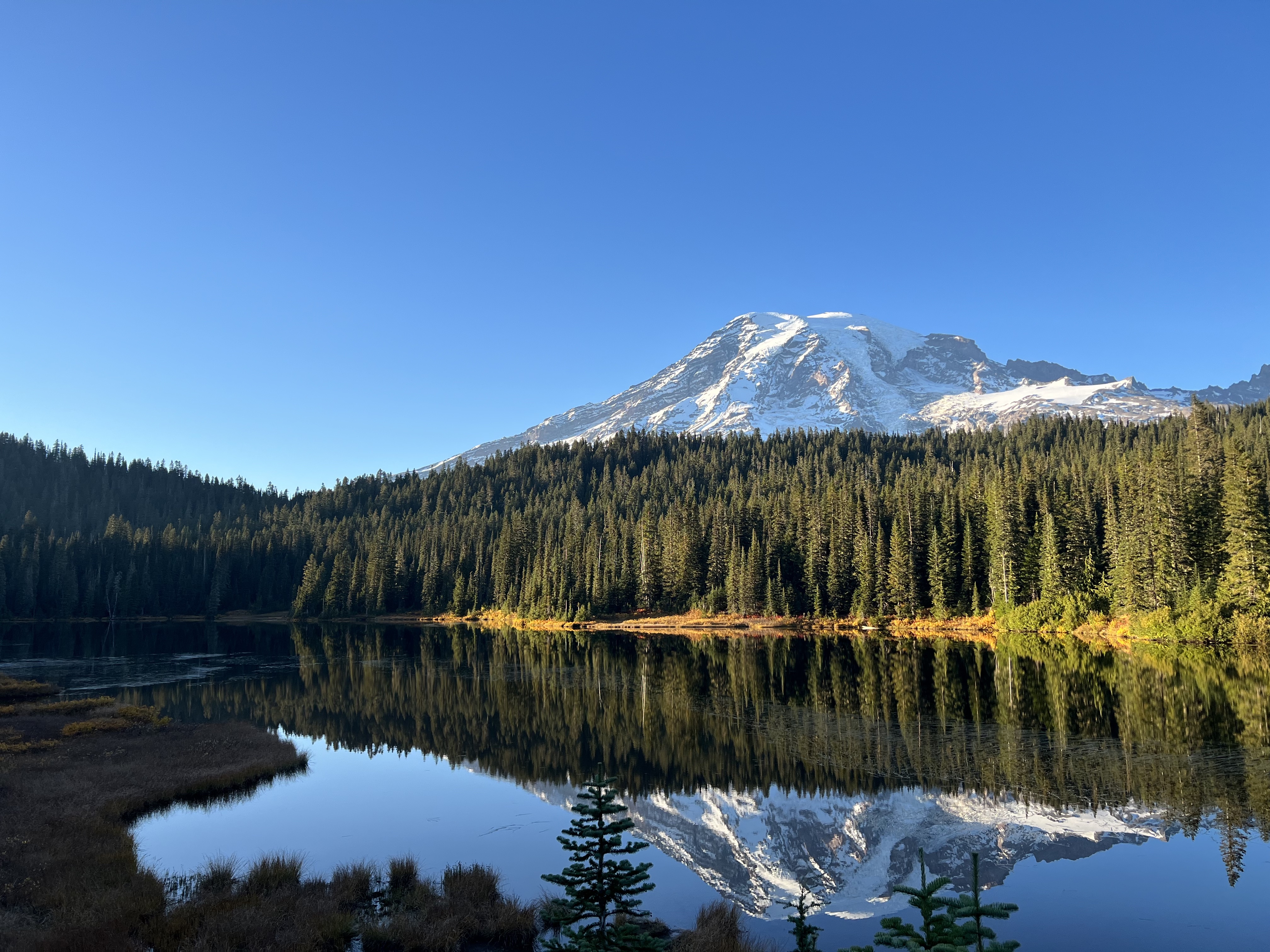 A digital photo captured by Kartina Bell. A snow coverd mountain and trees are perfectly reflected in the lake below with perfect blue skies.