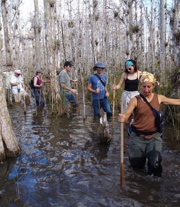 people hike in knee deep swamp water