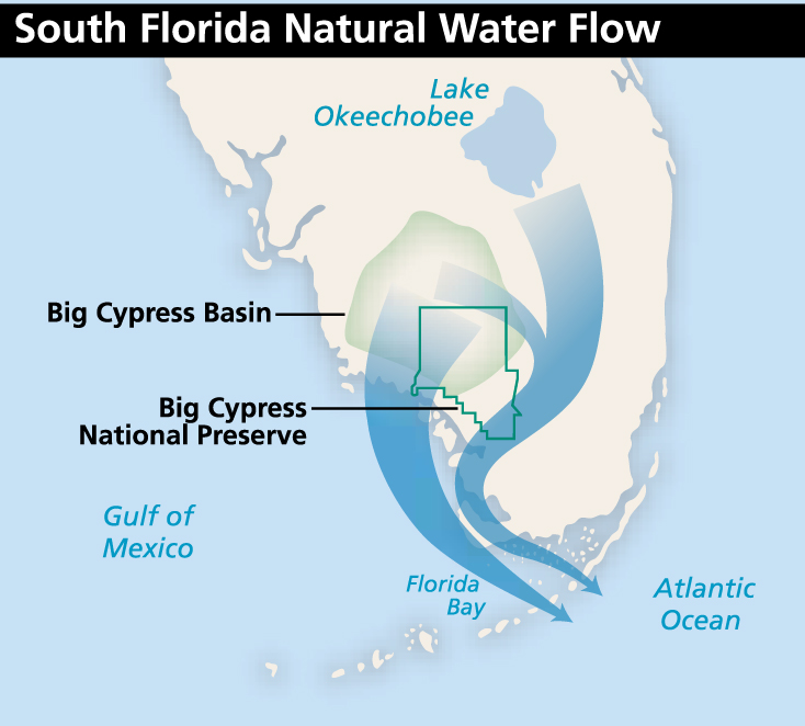 Big Cypress Line Map Insulated Water Bottle - Florida National