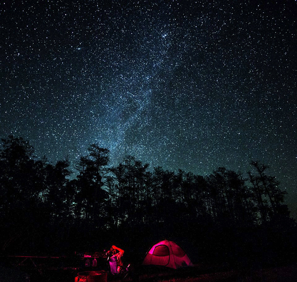 Tent campers under the stars in Big Cypress