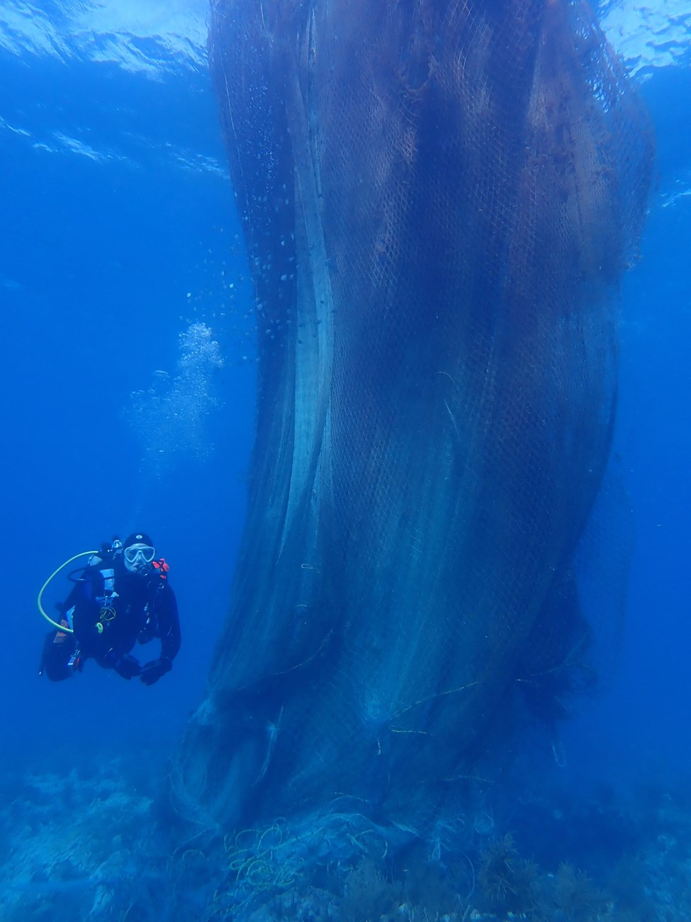 A massive drifting fishing net spans the distance between the ocean surface above to the ocan floor below. A scuba diver dwarfed by the net swims on the left side.