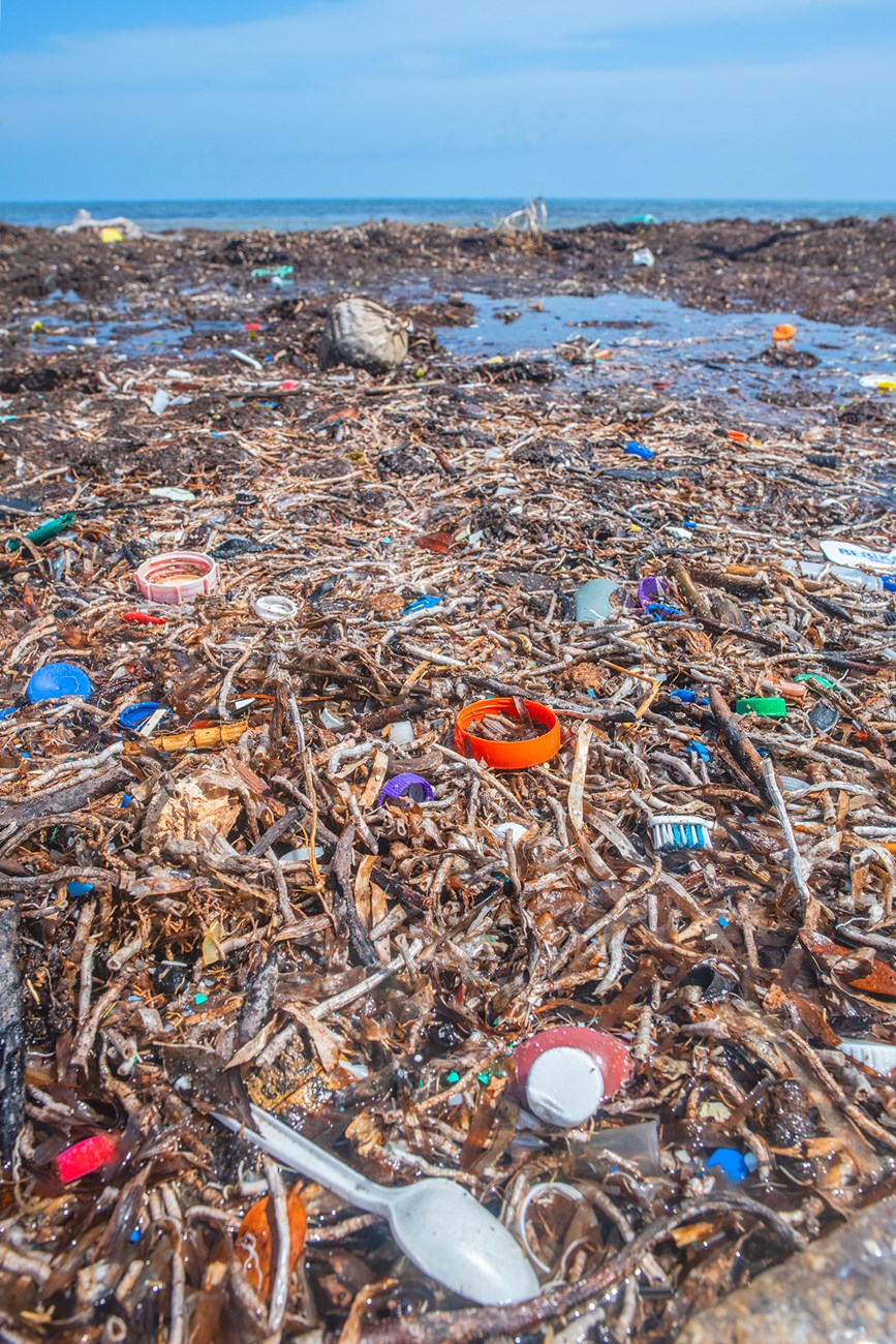 Many types of plastic items like toothbrushes and bottlecaps are strewn throughout  a wrackline on the ocean shore.