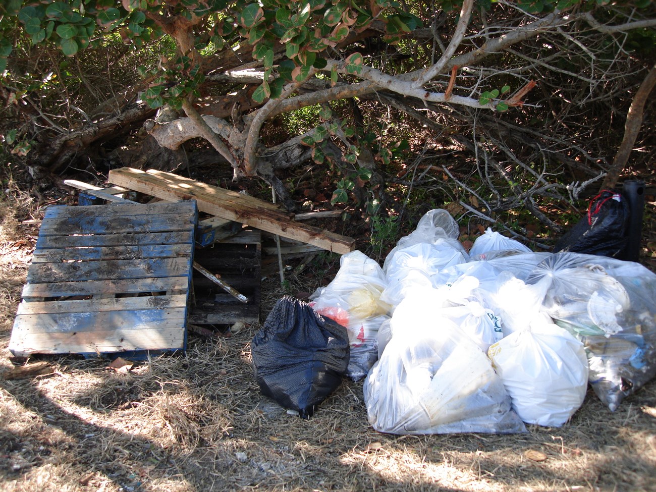 trash on beach