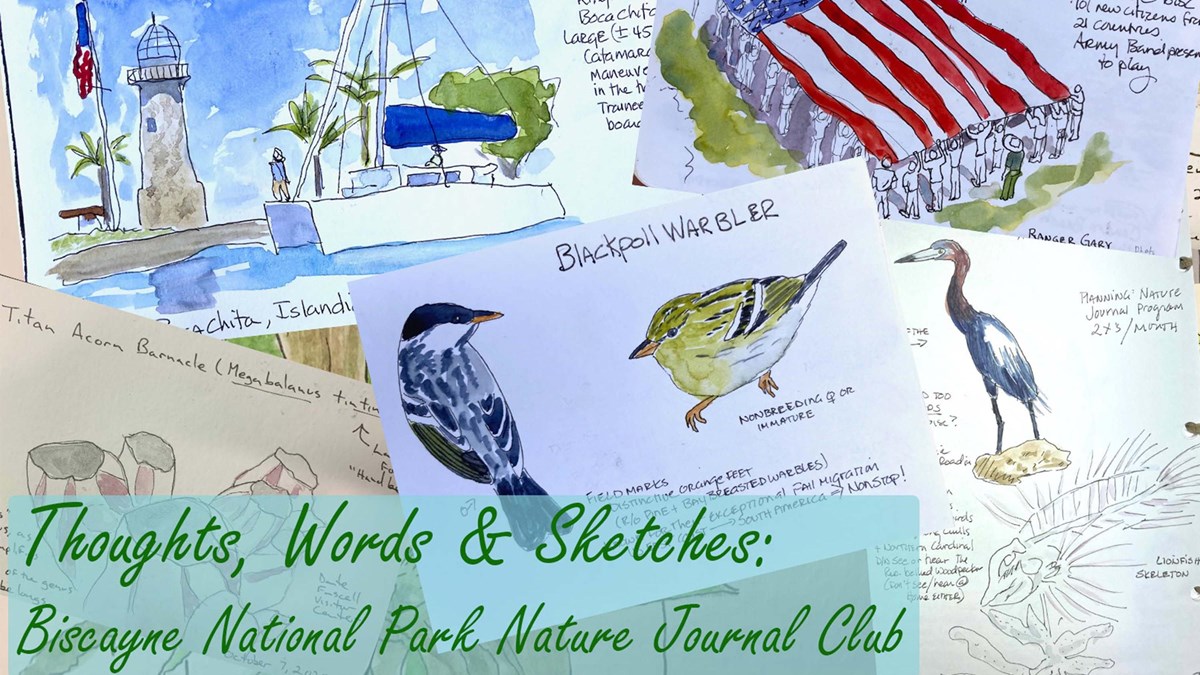 Nature and Journaling - The perfect Combination - Friends of Boerner  Botanical Gardens