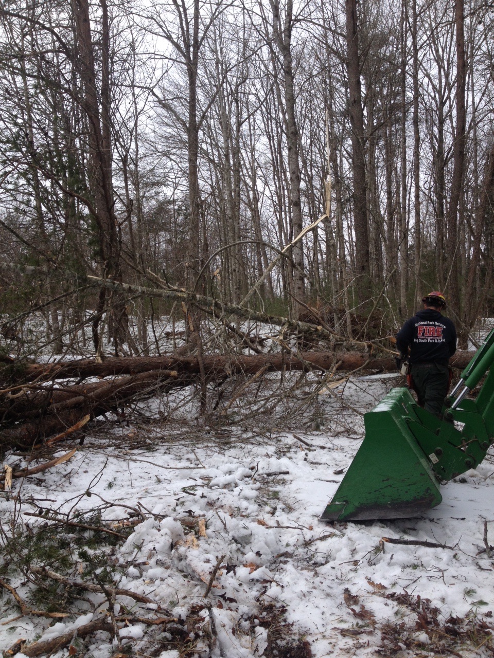 tractor and worker trying to remove trees blocking a road