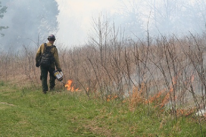 Firefighter applying fire