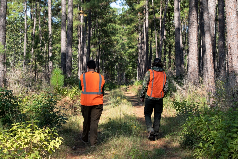 2 hunters wearing orange vests walking down a dirt road in the forest