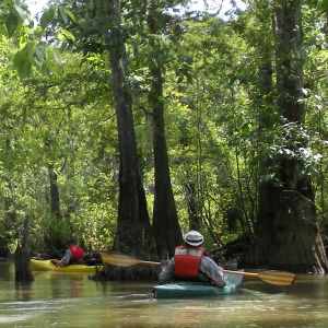 Paddling the Big Thicket - Big Thicket National Preserve ...