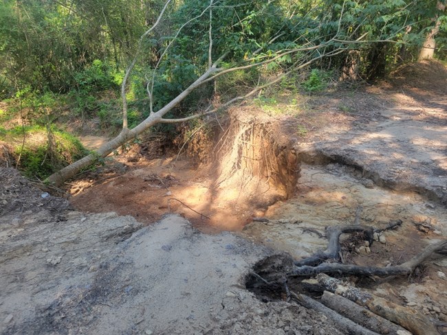 an unpaved road with a deep washout on one side, several feet deep, and a tree trunk laying across the gap.
