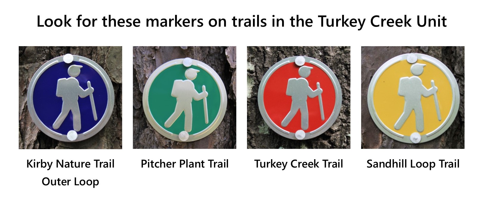 Turkey Creek Trail - North of Gore Store Road (U.S. National Park Service)