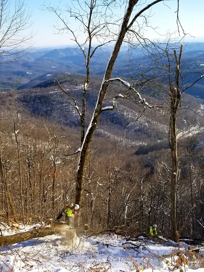 Two Park Service Employees working on Vista Restoration Project