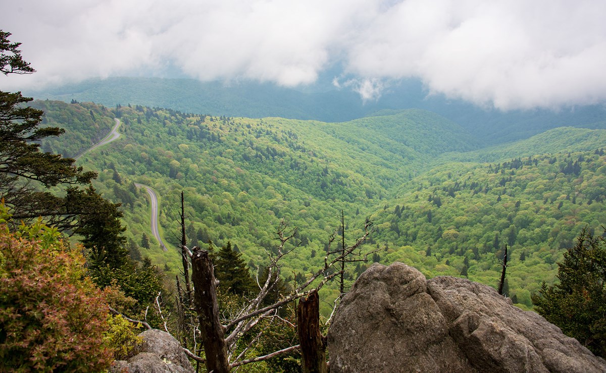 Waterrock Knob Milepost 451 2 Blue Ridge Parkway U S