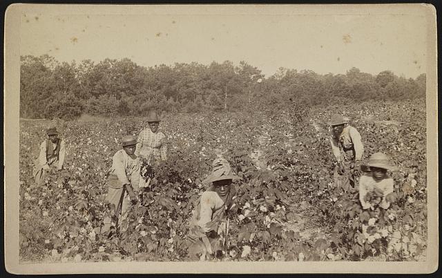 cotton plantations slavery