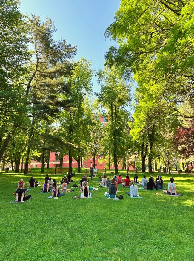 A group of people on mats stretch outdoors under green trees