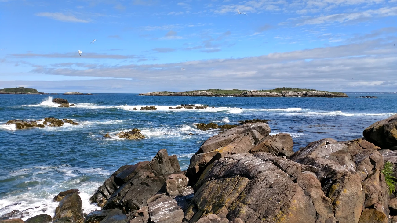 Coasts_Shorelines-CalfIsland_Vincent reddish brown rocky shore juts out into the deep blue waters. Three islands in the distance
