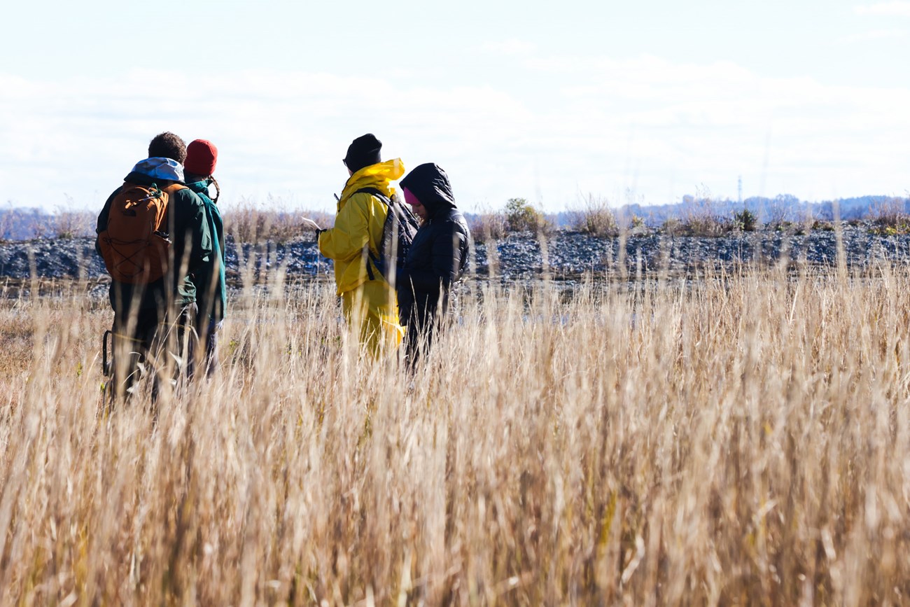 A group of four people standing in a field of tall grass.
