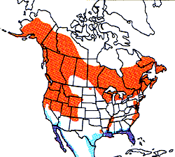 osprey map wrap