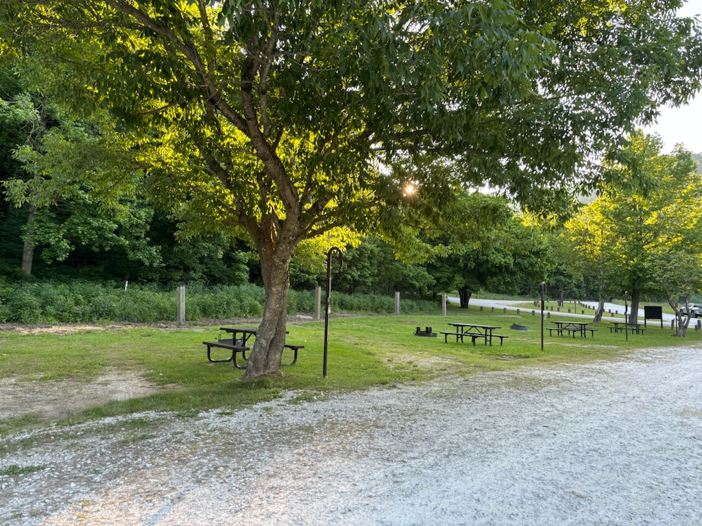 Four brown picnic tables can be seen placed in the center of four individual campsites. Green trees can be seen in the background with rays of sun filtering through the vegetation behind the campsites.