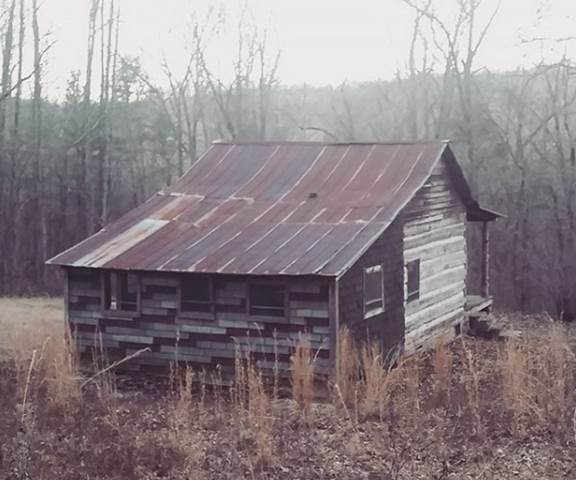 Upper District Hiking Buffalo National River U S National Park