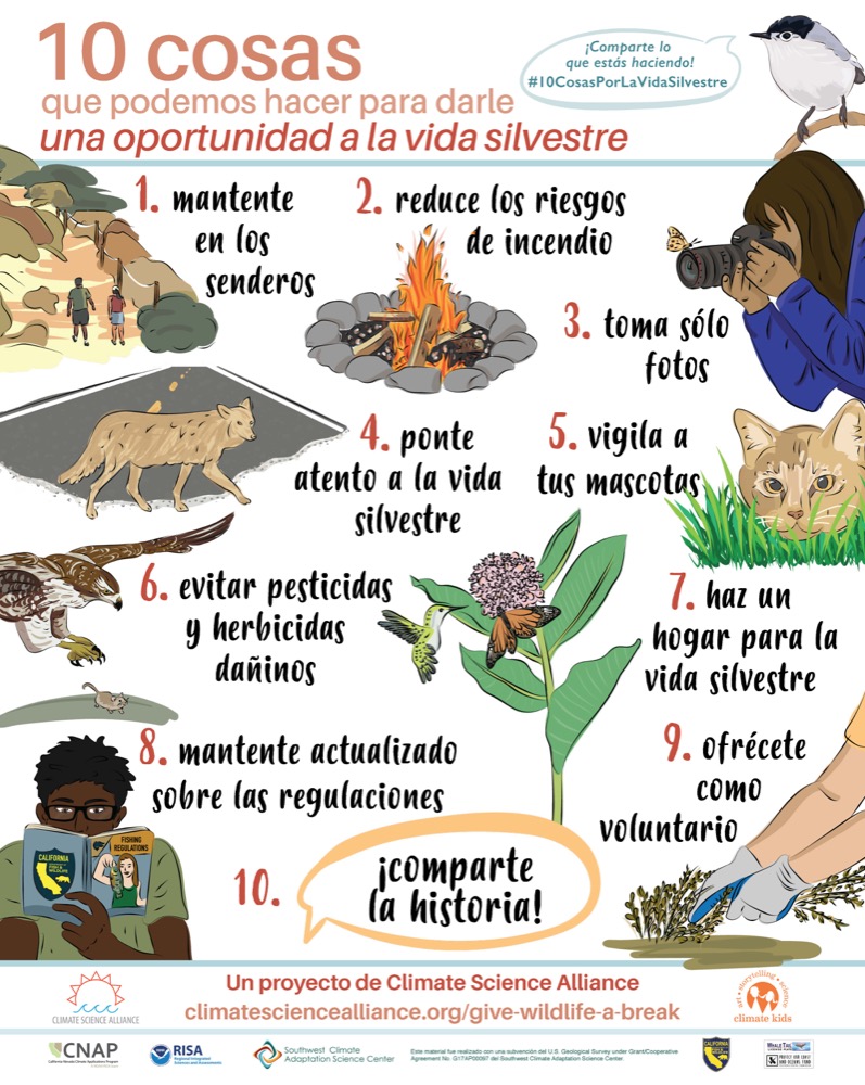 Poster showing 10 Things You Can Do to Give Wildlife a Break