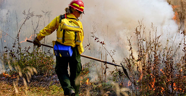 Wildland firefighters fighting back flames on public lands