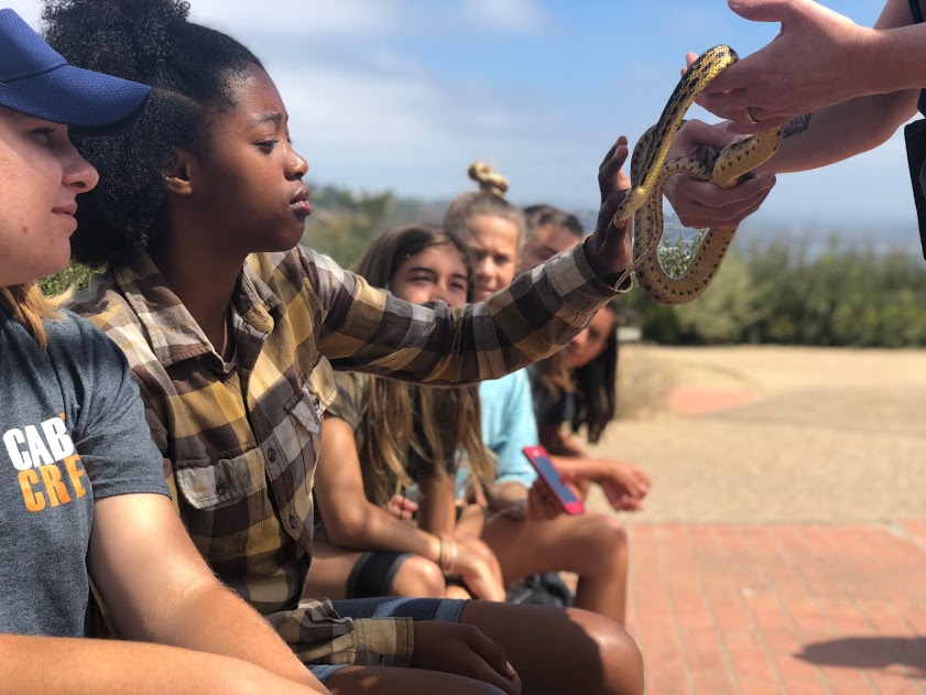 A student pets Wilson, our San Diego Gopher Snake, during a “snake meet – n – greet.”
