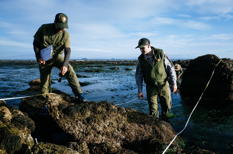 Scientists monitoring the tidepools