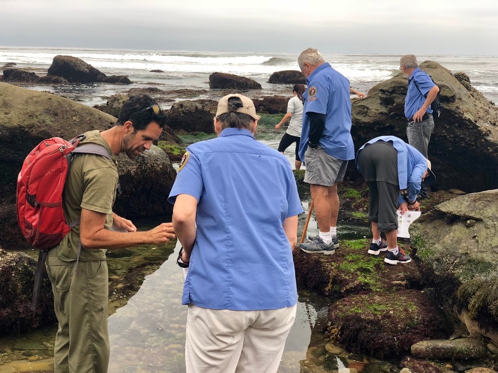 a group of people exploring the tidepools and looking closely at something they found.