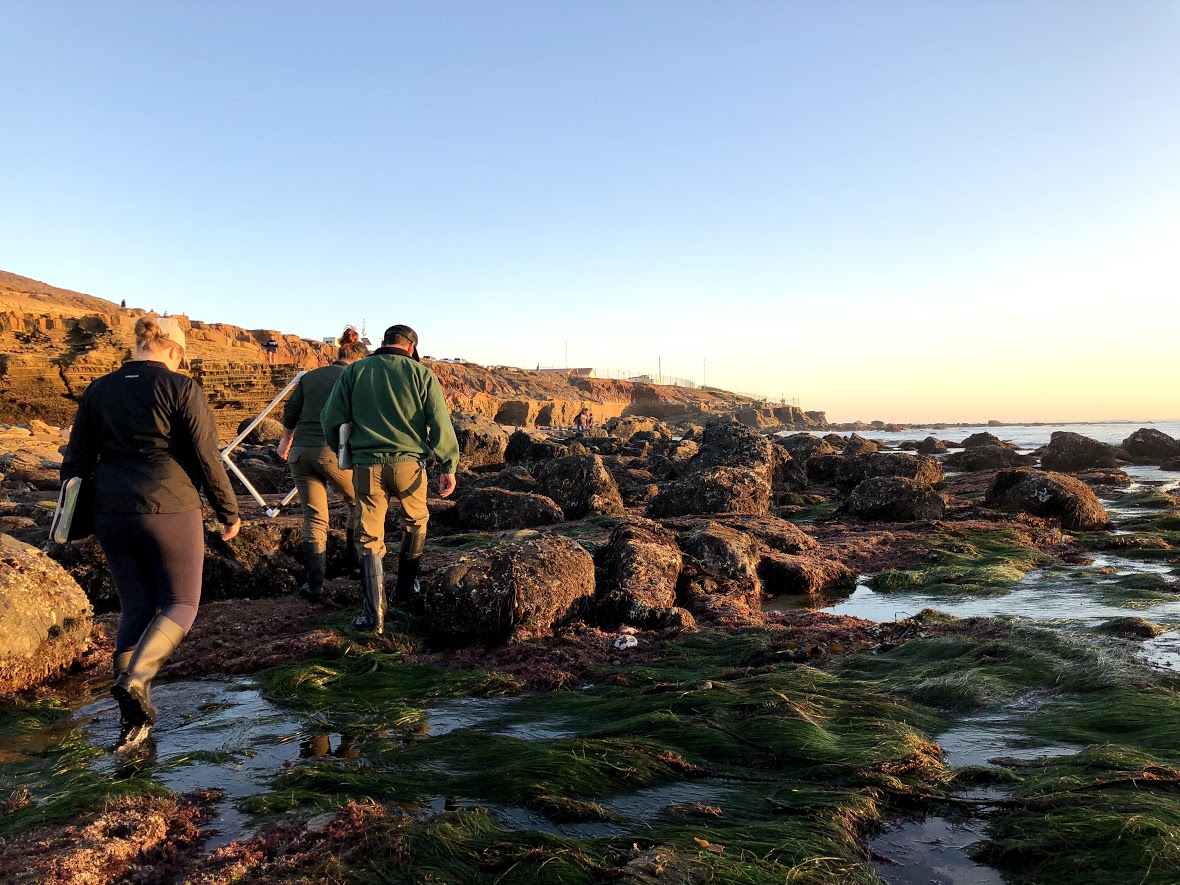 With quadrats and clipboards in hand, members of the Natural Resources team heads out of the tidepools after a day of monitoring.