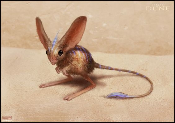 An artist’s rendering of the animal Muad’Dib from Frank Herbert’s Dune – which resembles a kangaroo rat with large ears, large feet, and blue stripes along its head and back.