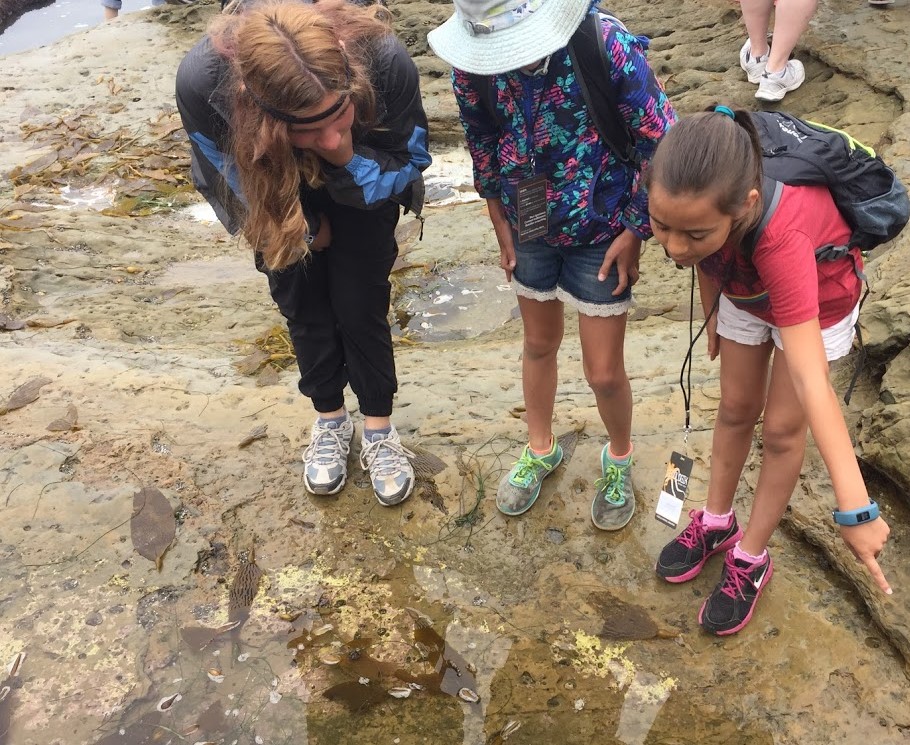 these students enjoy the tidepools by wearing the perfect shoes: sturdy, close-toed, and okay to get wet.