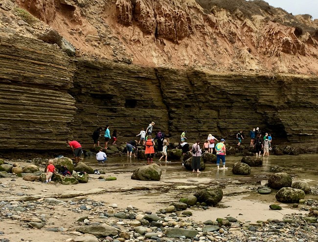 A group of people, including children and adults, are exploring tidepools at the base of layered rocky cliffs at Cabrillo National Park. The area is scattered with large rocks and shallow pools of water where marine life can be observed.