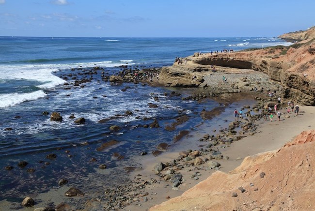 An aerial view of people exploring the tidepools at Cabrillo National Monument. The image shows a rocky coastline with visitors scattered along the shore, looking into shallow pools of water. The ocean waves are gently crashing against the rocks.