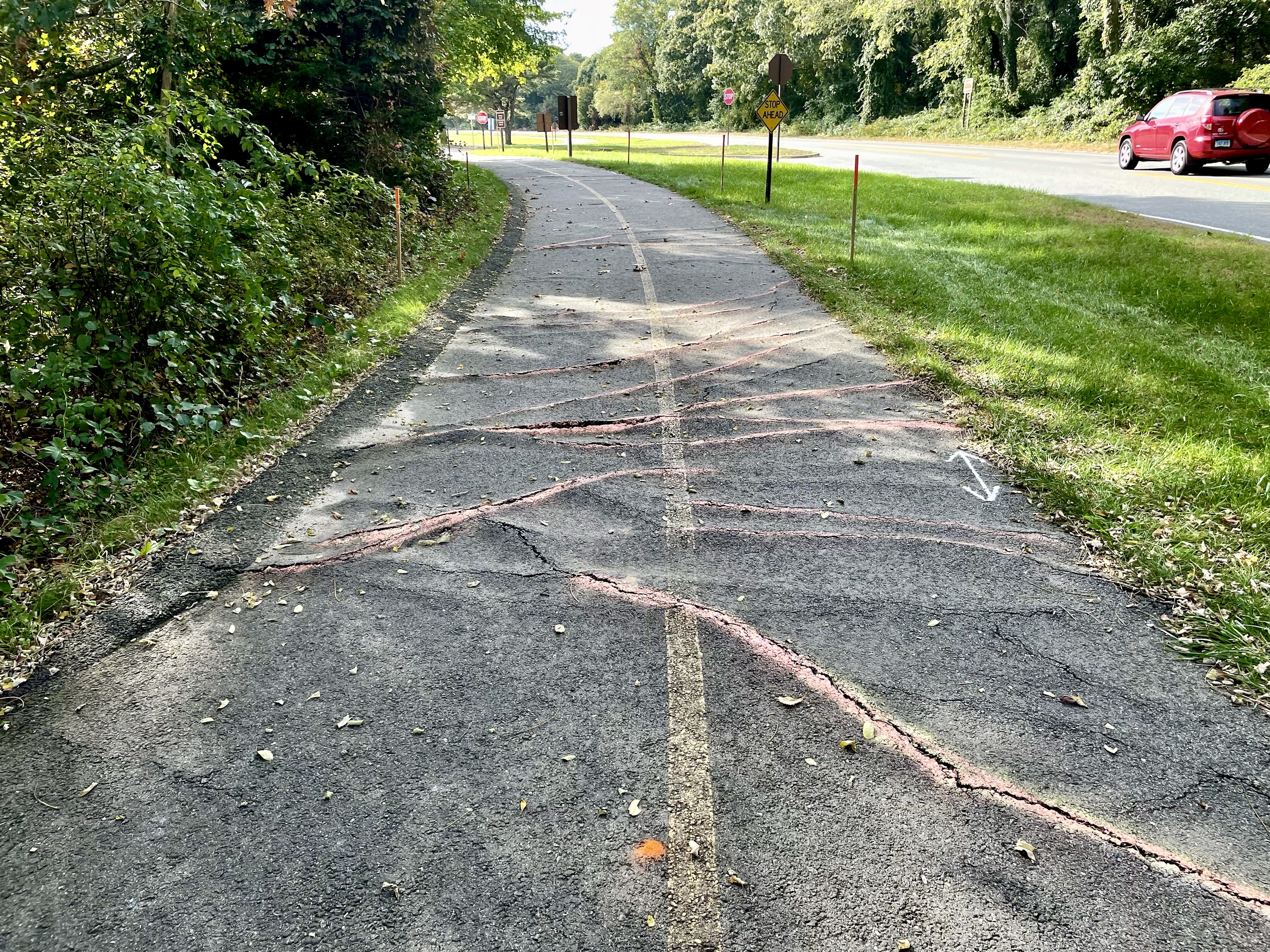 Image of cracked Nauset bike path surrounded by greenery.