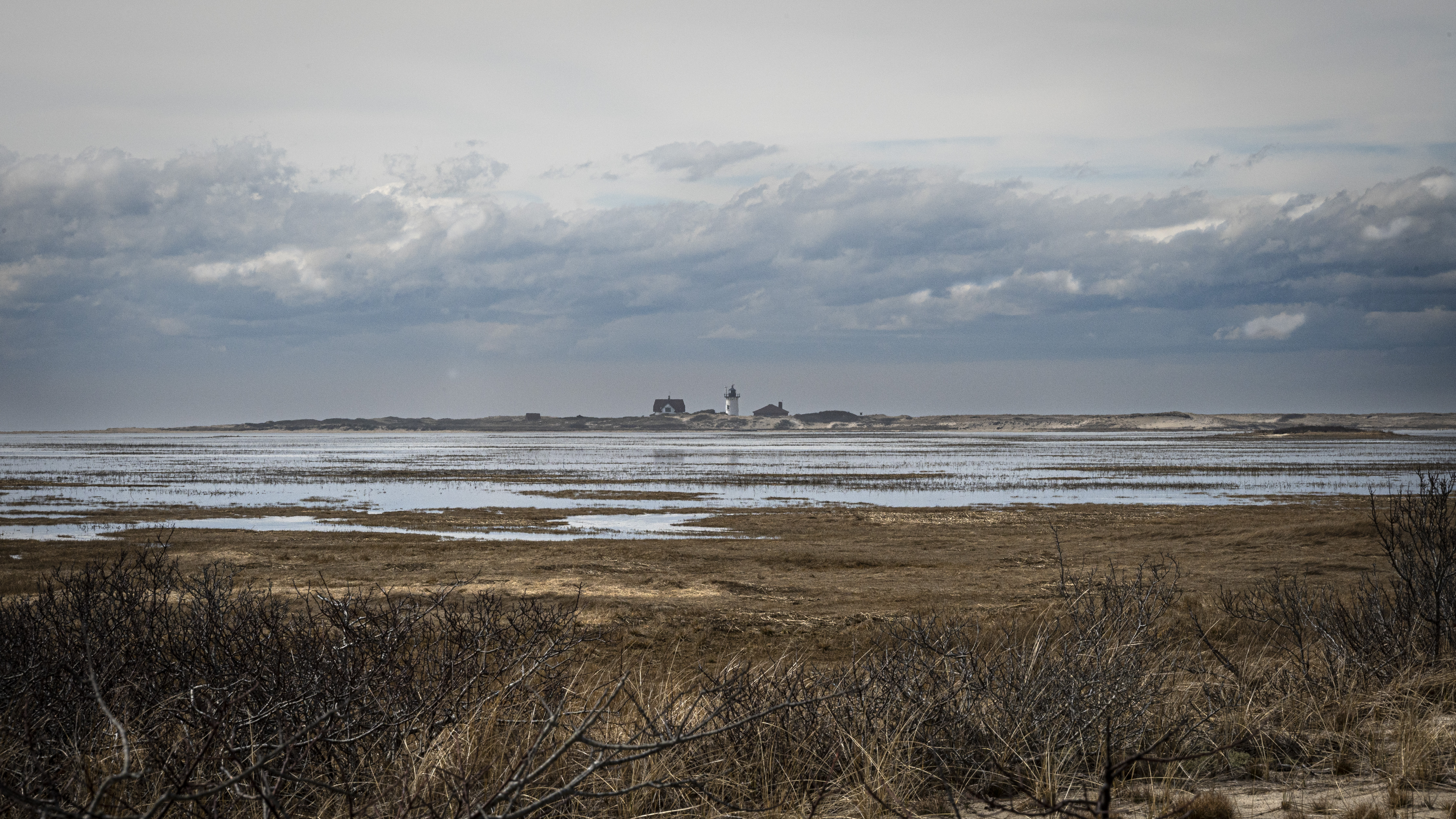 View of a marshy area with a lighthouse and keepers house in the distance. Gray, cloudy skies overhead.