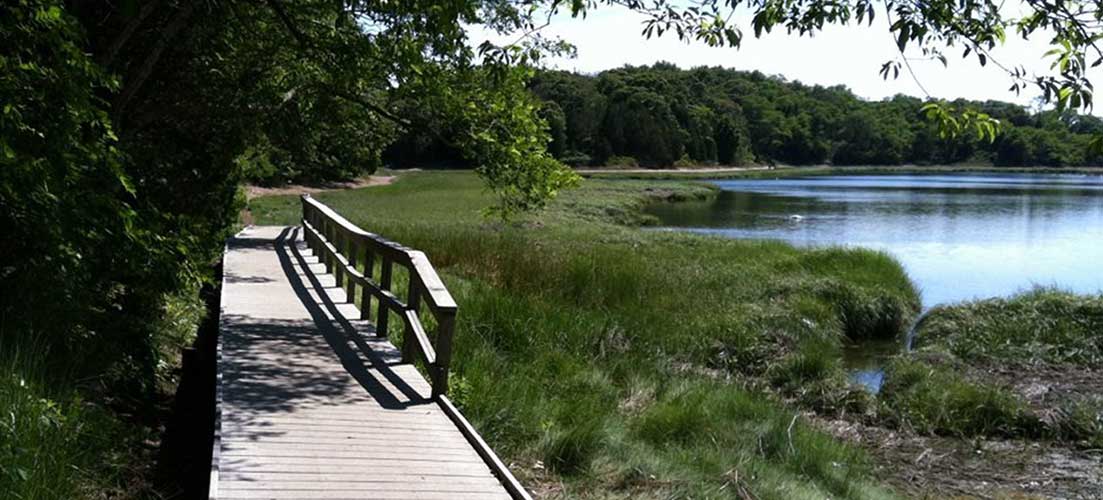 Bridge along a trail