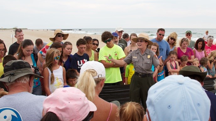 Interpreter talking to the public at a sea turtle nest excavation.