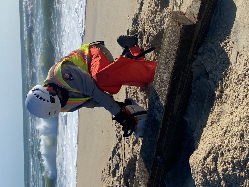 Image of a National Park Service ranger cutting a house piling on the beach.