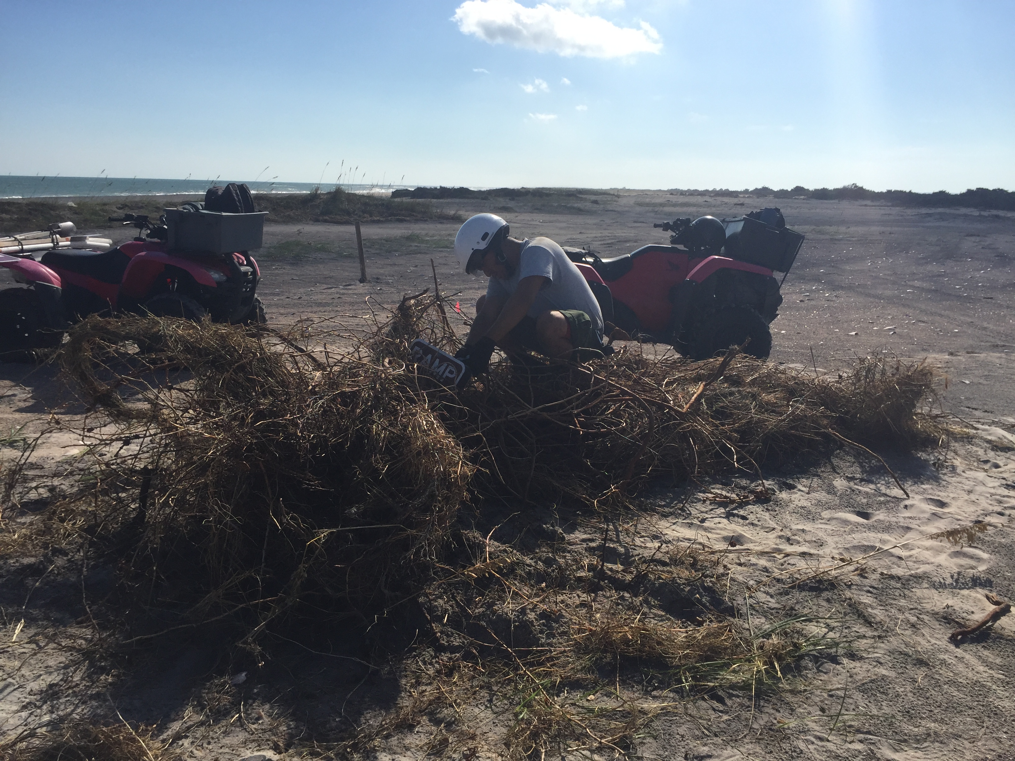 Staff work to untangle signs laying on the beach.