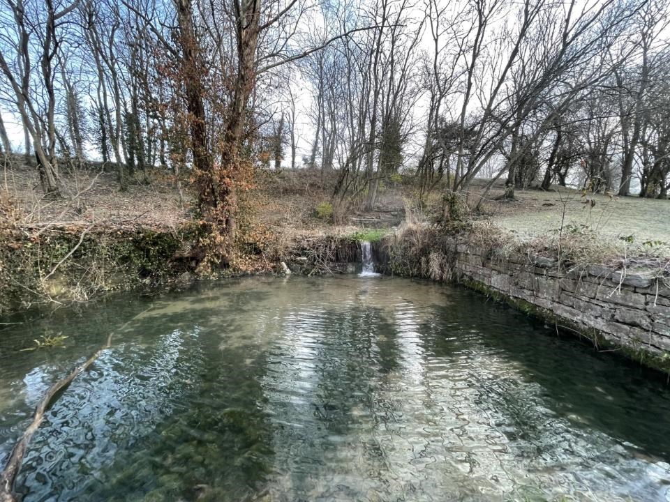 A pool of water surrounded by leafless trees and a stone retaining wall to the right.