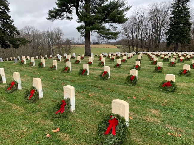 Headstones adorned with wreaths at national cemetery.