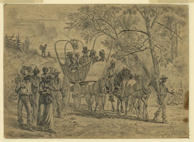 Sketch of African American refugees on a wagon and walking into US Army lines