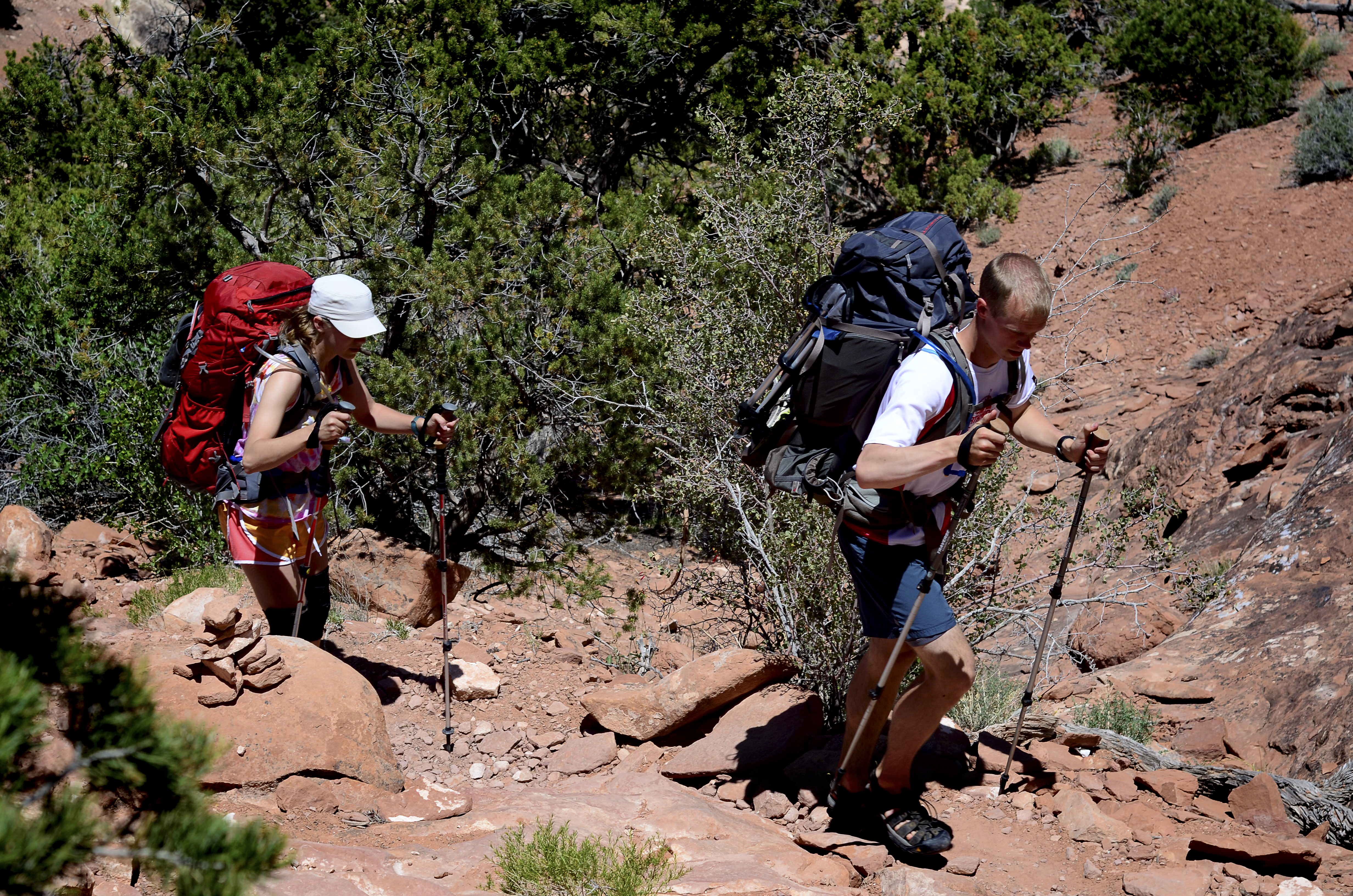 Two hikers wearing summer clothes and large backpacks hike along a desert trail surrounded by pinyon trees.