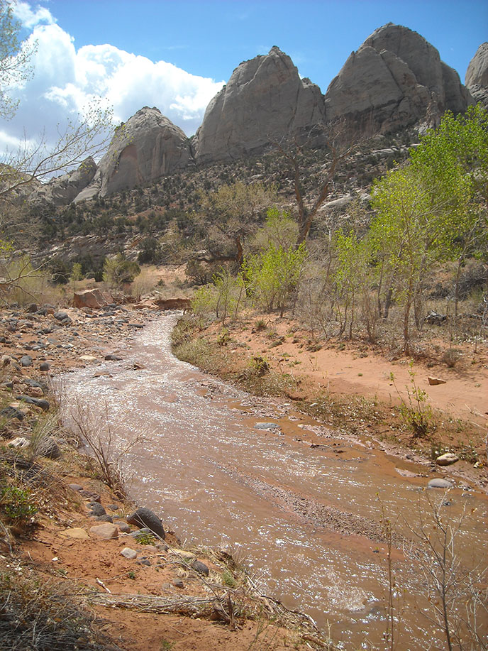 Pleasant Creek (Capitol Reef National Park, UT) – Live and Let Hike