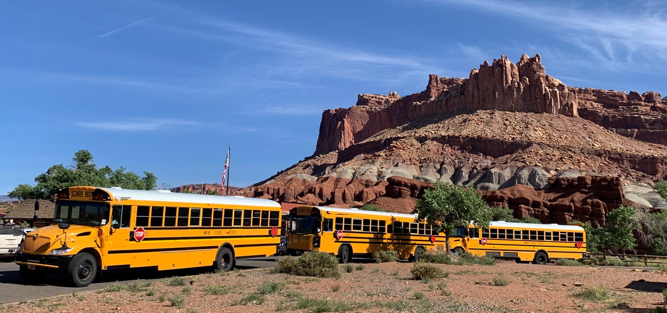 Three bright yellow school buses parked in a parking lot in front of towering rock formation and blue sky.