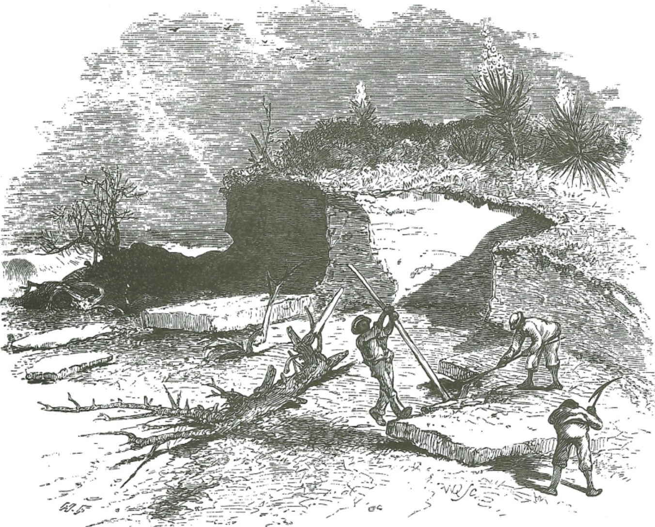 Illustration of workers using bars and pickaxes to cut coquina from a quarry.