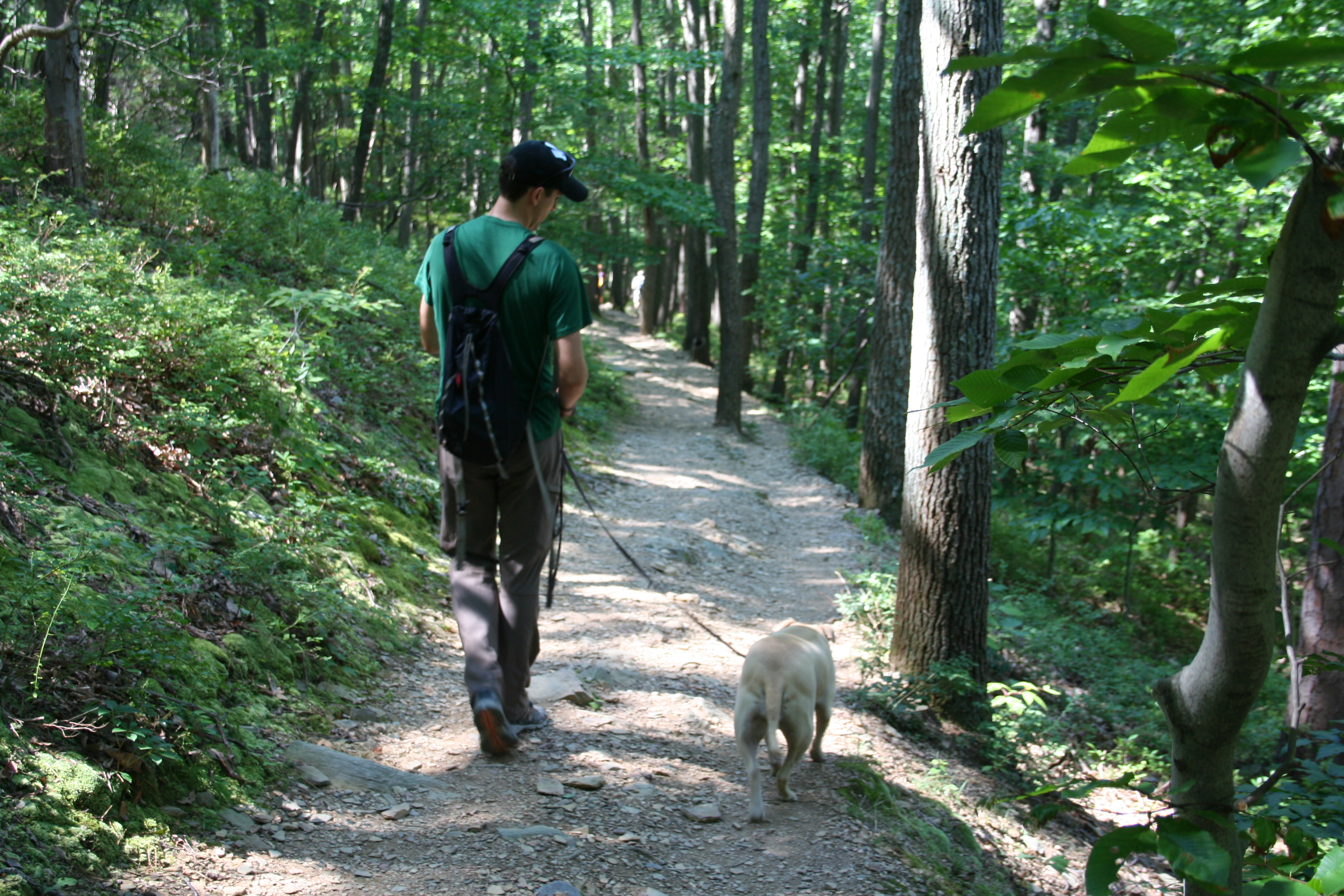 Dogs - Catoctin Mountain Park - GoodDogTrips