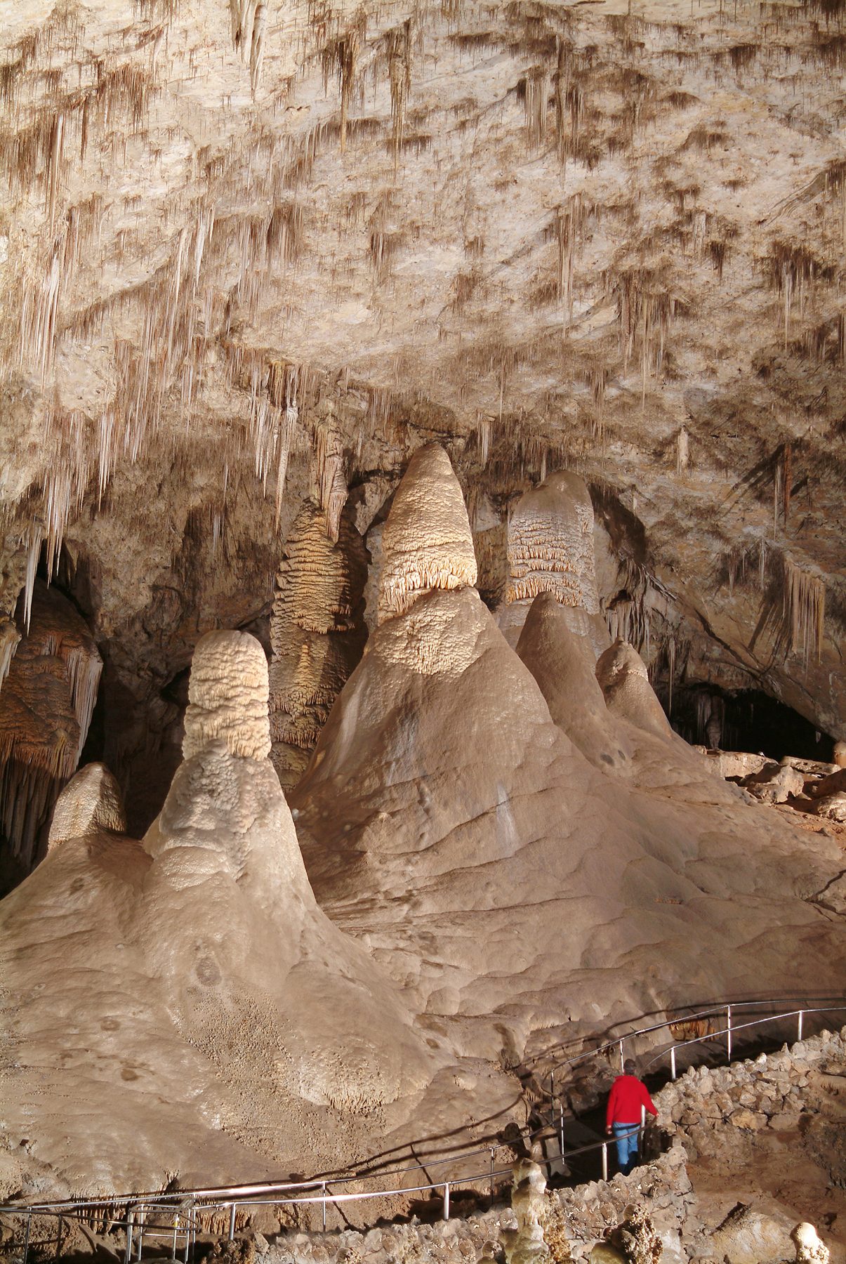 Operating Hours &amp; Seasons - Carlsbad Caverns National Park (U.S. National Park Service)